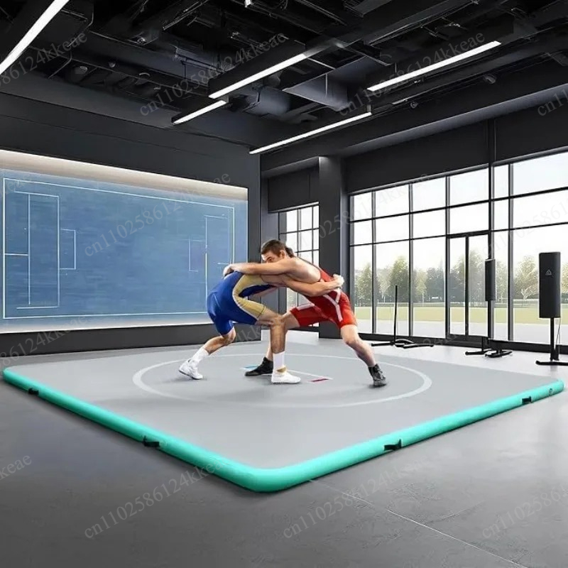 Professional Inflatable Air Tr - Tumbling Air Track ulasan dan harga